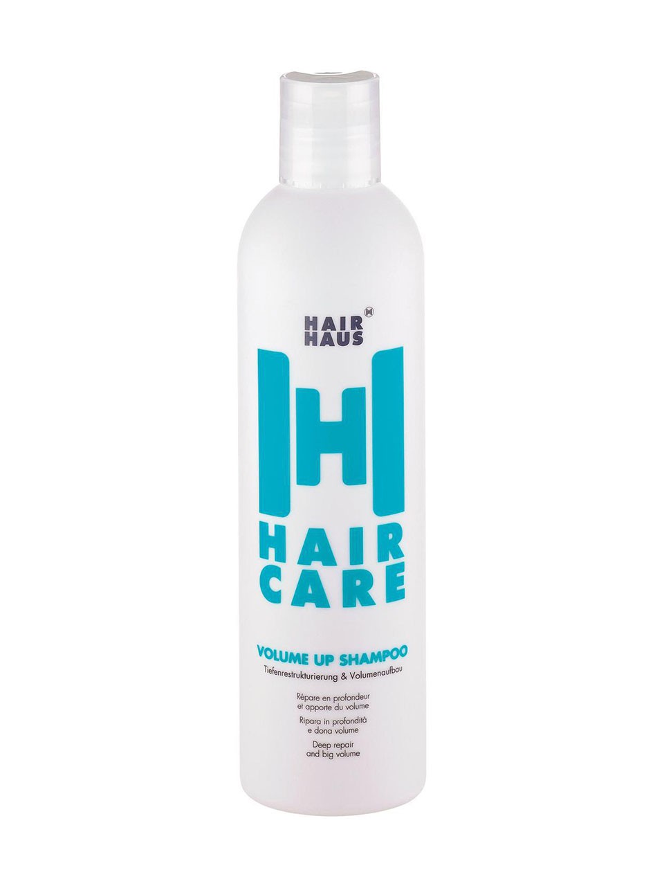 hair haus haircare volume up shampoo 250 ml